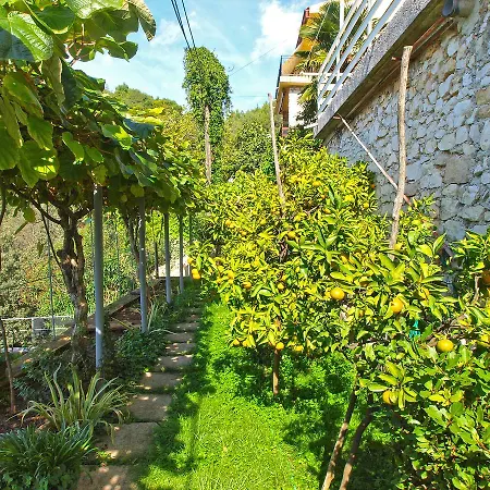 Boris 154 Apartmán Rabac