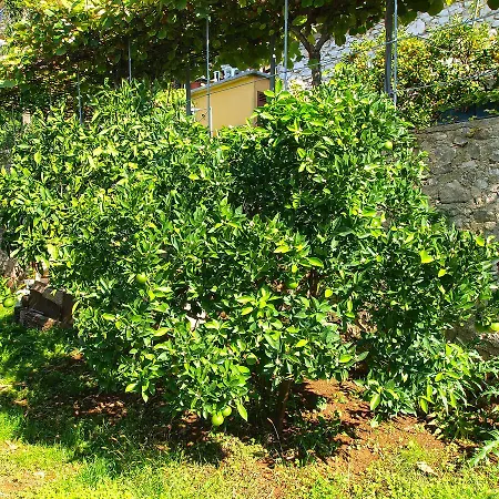 Apartmán Boris 154