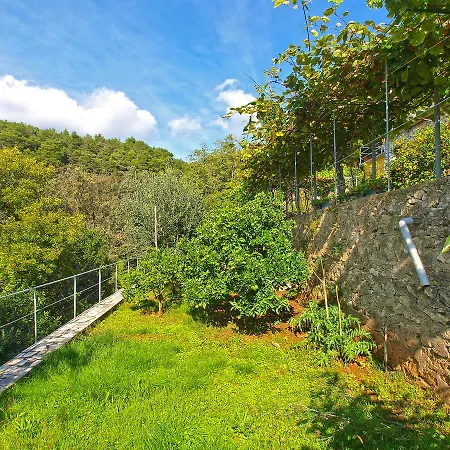 Apartmán Boris 154 *