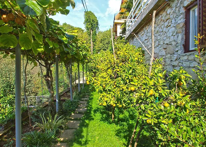 Boris 154 Appartement Rabac