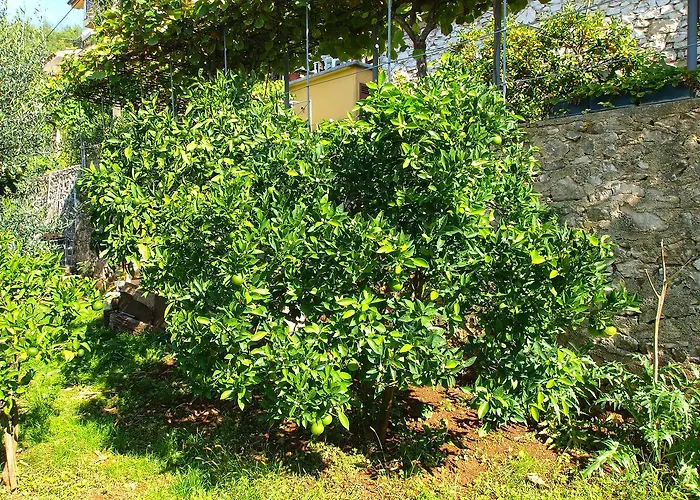 Appartement Boris 154